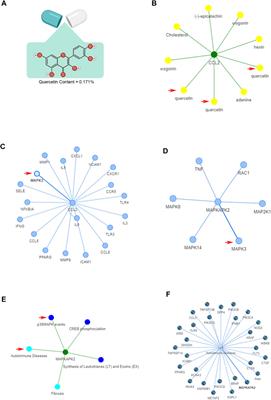 Ningmitai capsules have anti-inflammatory and pain-relieving effects in the chronic prostatitis/chronic pelvic pain syndrome mouse model through systemic immunity